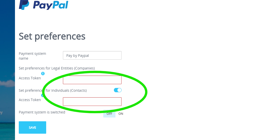 Access Token PayPal.png