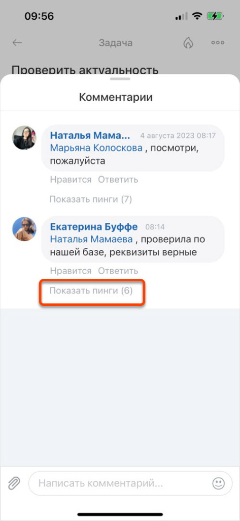 показать пинги.jpg